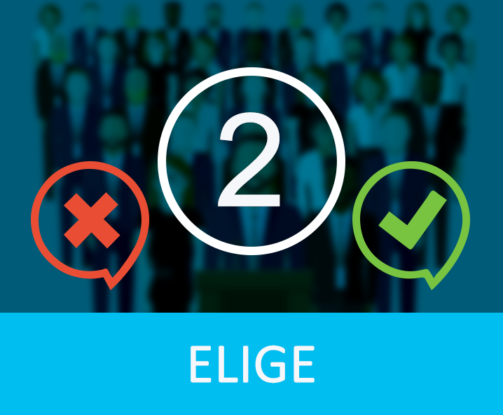 elige tus candidatos